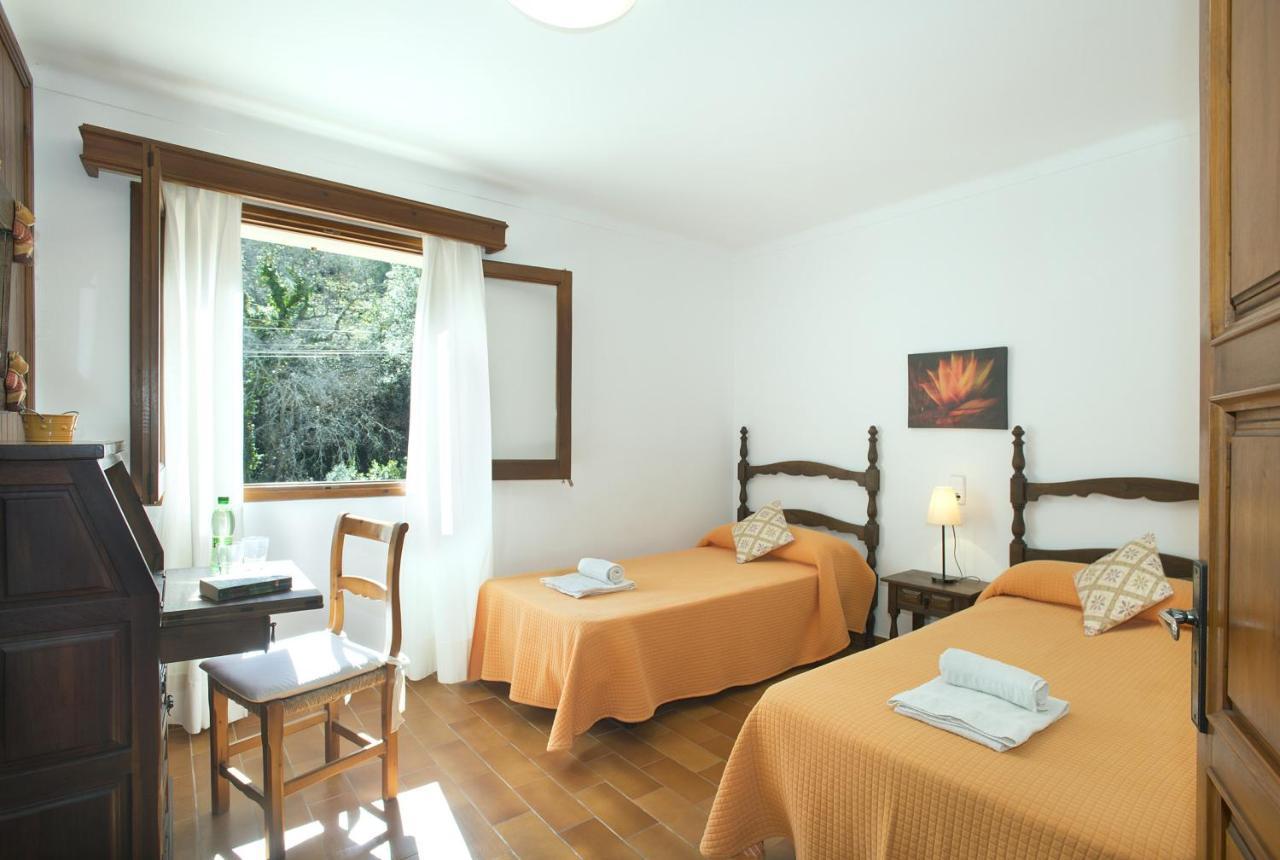 Owl Vallori - 5 Min Walk To The